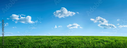 Lush green grass field under a bright blue sky with minimal fluffy white clouds summer landscape