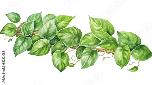 Vibrant watercolor illustration of green foliage. Perfect for nature-themed designs, botanical prints, and creative projects.