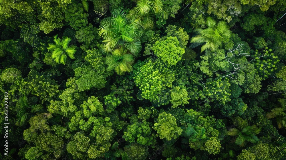 Nature and Forest Management Nature and Forest Management