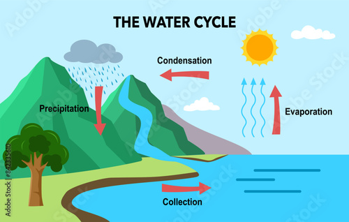 Water cycle diagram with simple rain circulation explanation concept. Educational climate scheme with precipitation, evaporation, condensation and collection phases vector illustration.