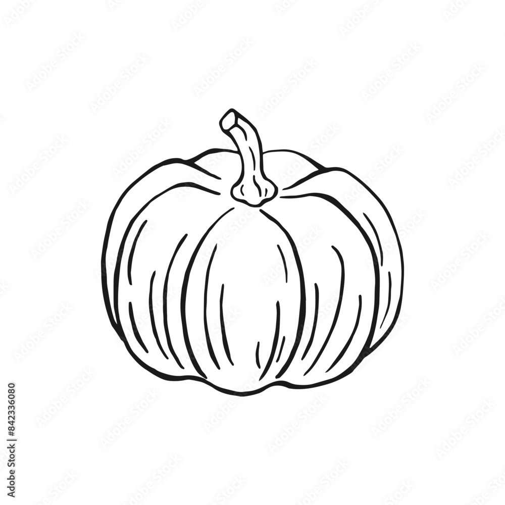 Pumpkin. Hand drawn vector illustration. Pumpkin. Hand drawn vector illustration.