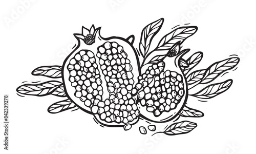 Vector composition of pomegranate halves with seeds and leaves. Botanical black and white illustration, hand drawn in linocut style. Drawing for design of packaging, menus, recipes, postcards.