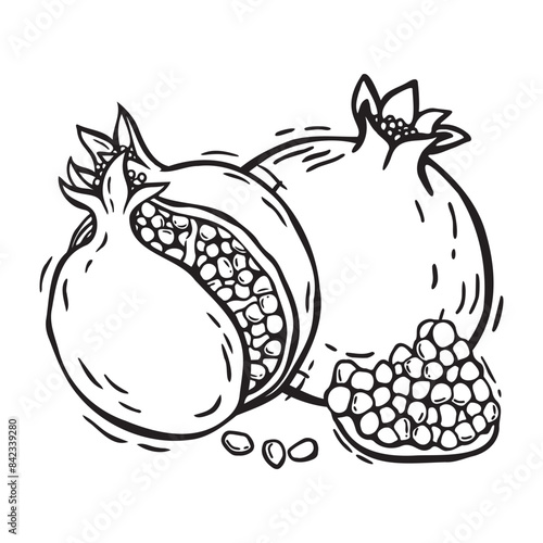 Vector composition of whole pomegranate and halves. Botanical black and white illustration, hand drawn in linocut style. Drawing for design of food packaging, cosmetics, menus, recipes, postcards.