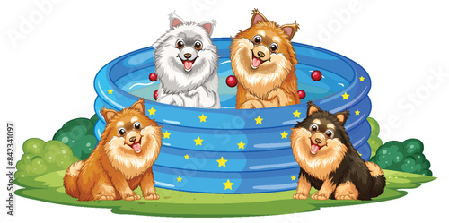 Four dogs playing in a blue pool