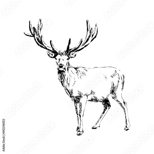 Deer icon
