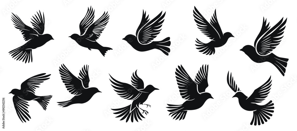 Flying birds vector illustration. Bird fly hand drawn black on white background. Animal silhouette. Flying birds vector illustration. Bird fly hand drawn black on white background. Animal silhouette.