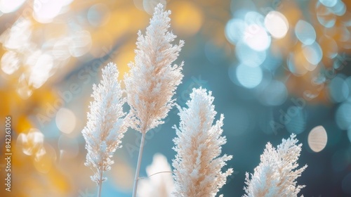 Fine details of pampas grass plumes captured in sharp focus, contrasting with a beautifully blurred, out-of-focus background