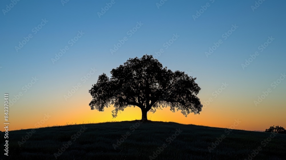 Silhouette of a Tree at Sunset Silhouette of a Tree at Sunset