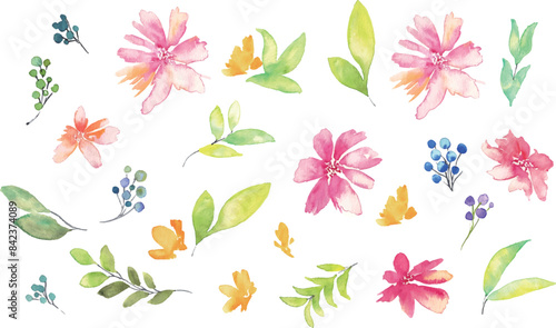 水彩画。水彩タッチの花と草木イラスト。植物のベクターイラスト。華やかな花の装飾イラスト。Watercolor painting. Flowers and plants illustration with watercolor touch. Vector illustration of plants. Gorgeous flower decoration illustration.