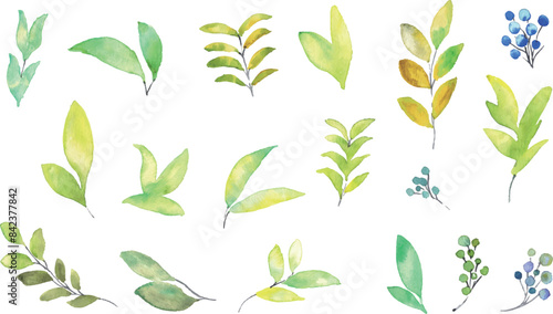 水彩画。水彩タッチの花と草木イラスト。植物のベクターイラスト。華やかな花の装飾イラスト。Watercolor painting. Flowers and plants illustration with watercolor touch. Vector illustration of plants. Gorgeous flower decoration illustration.