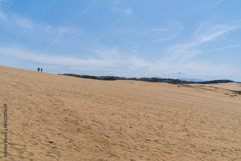 日本の鳥取県にある巨大な砂丘の風景 日本の鳥取県にある巨大な砂丘の風景