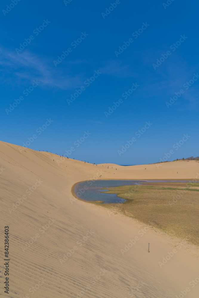 日本の鳥取県にある、美しい鳥取砂丘の風景