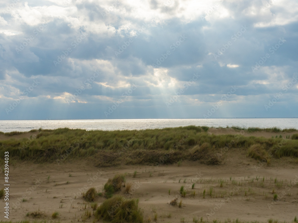 Egmond, Netherlands - August 5th 2023: Beautiful coastline with sand dunes in the afternoon sunshine Egmond, Netherlands - August 5th 2023: Beautiful coastline with sand dunes in the afternoon sunshine