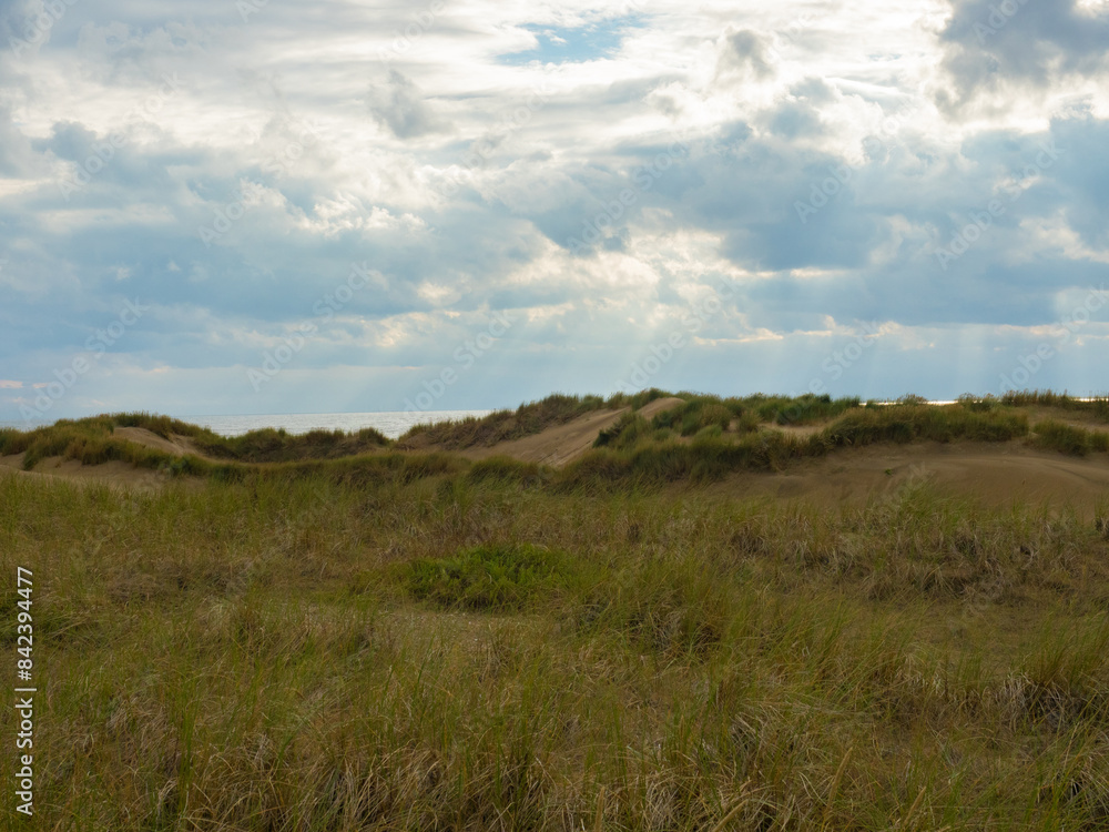Egmond, Netherlands - August 5th 2023: Beautiful coastline with sand dunes in the afternoon sunshine Egmond, Netherlands - August 5th 2023: Beautiful coastline with sand dunes in the afternoon sunshine