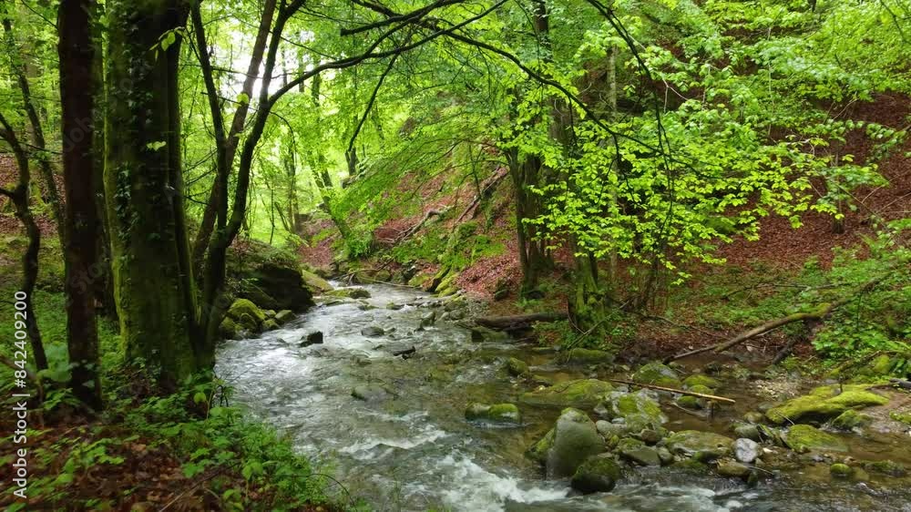 Mountain water river in forest of Bistriski Vintgar, Slovenia aerial drone Mountain water river in forest of Bistriski Vintgar, Slovenia aerial drone