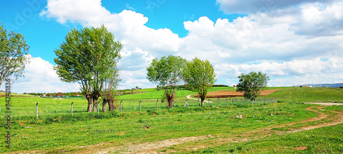 Forest: Forest Nature: Nature Mountain: Mountain Cedar Forest: Cedar Forest Flower: Flower Stream: Creek Waterfall: Waterfall Bridge: Bridge Autumn: Autumn Safari: Safari Clouds: Clouds Sheep: Sheep 