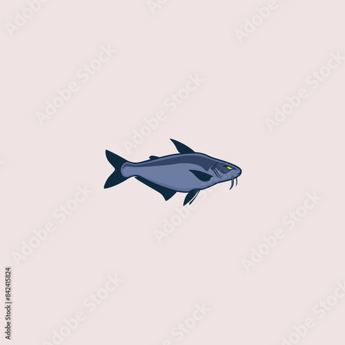 pangasius fish