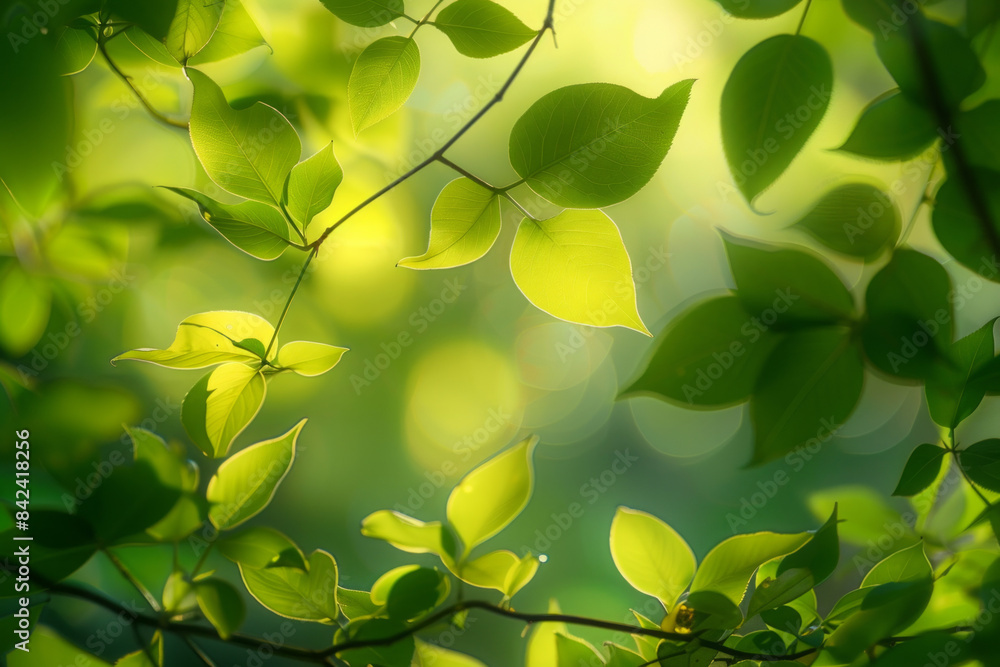Nature green serene background with soft dappled light filtering through leaves Nature green serene background with soft dappled light filtering through leaves
