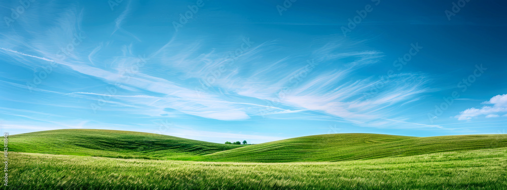 Idyllic summer scene with a lush green meadow rolling hills in the distance and a brilliant blue sky Idyllic summer scene with a lush green meadow rolling hills in the distance and a brilliant blue sky