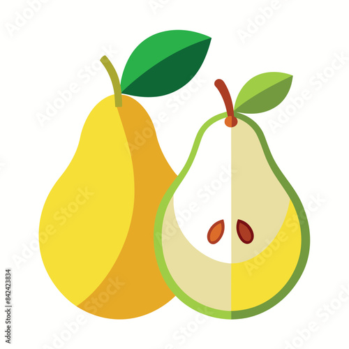 pear fruits, half cutting pear vector flat style illustration