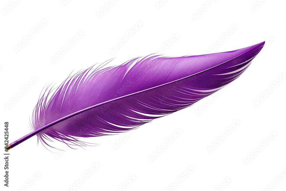 Ethereal Beauty: A Purple Feather Dancing on White Canvas on White or PNG Transparent Background. Ethereal Beauty: A Purple Feather Dancing on White Canvas on White or PNG Transparent Background.