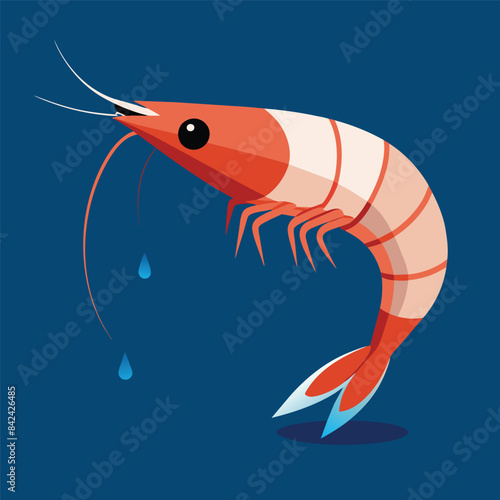 Vector illustration EPS 10 Antarctic Krill shrimp cries vector white background