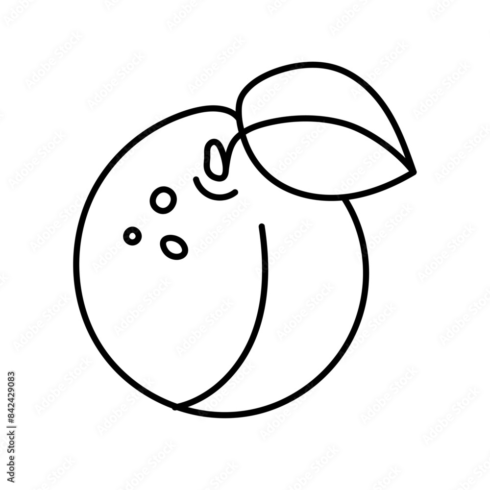 Apricot in doodle style. Vector isolated on white background Apricot in doodle style. Vector isolated on white background