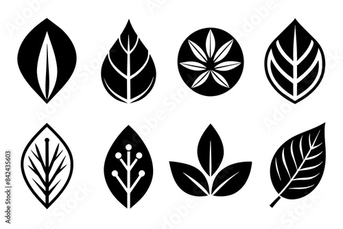 Set of leaf icon with glyph style vector illustration