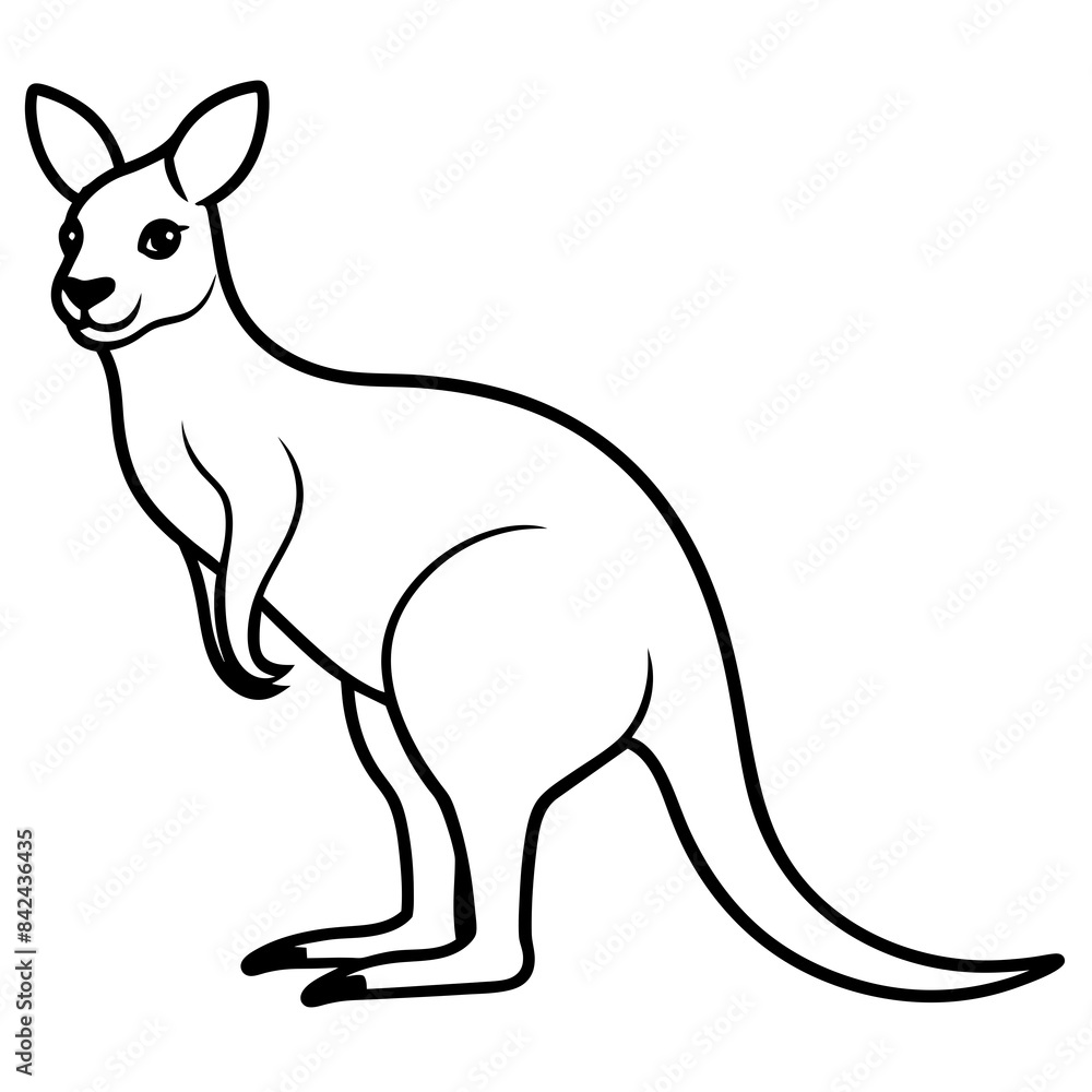 kangaroo kangaroo