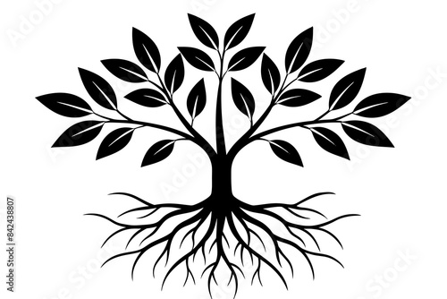 plant roots grow vertically silhouette vector illustration