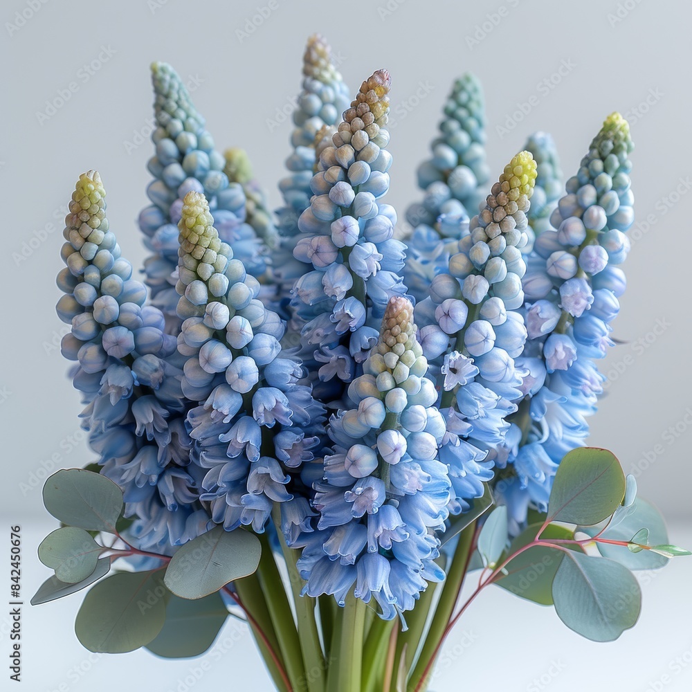 Exquisite Hyacinth Bouquet with Eucalyptus Leaves on White Background - Realistic 8k HD Photography with Soft Light and Shadow Exquisite Hyacinth Bouquet with Eucalyptus Leaves on White Background - Realistic 8k HD Photography with Soft Light and Shadow
