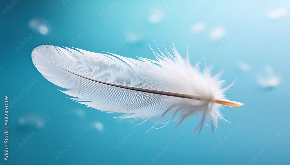 Obraz premium Single white feather floating diagonally on a clear blue background, delicate barbs and soft lighting highlighting its texture, nature, minimalism