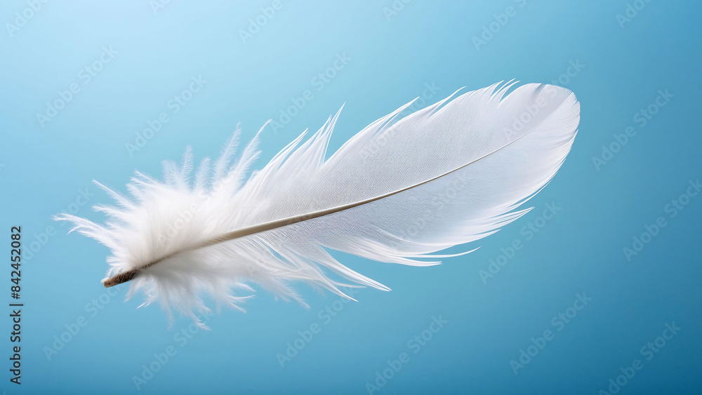 Obraz premium Single white feather floating diagonally on a clear blue background, delicate barbs and soft lighting highlighting its texture, nature, minimalism