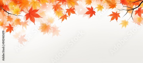 Autumn leaves on a white background with copy space image.