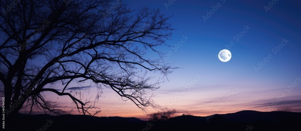 Beautiful moon shines brightly in the night sky with stars around it, creating a stunning copy space image. Beautiful moon shines brightly in the night sky with stars around it, creating a stunning copy space image.