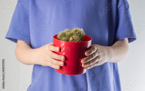 a girl in a purple T-shirt holds a red pot with a cactus in her hands. Concept of pain and colic in the stomach and intestines in children, close-up photo