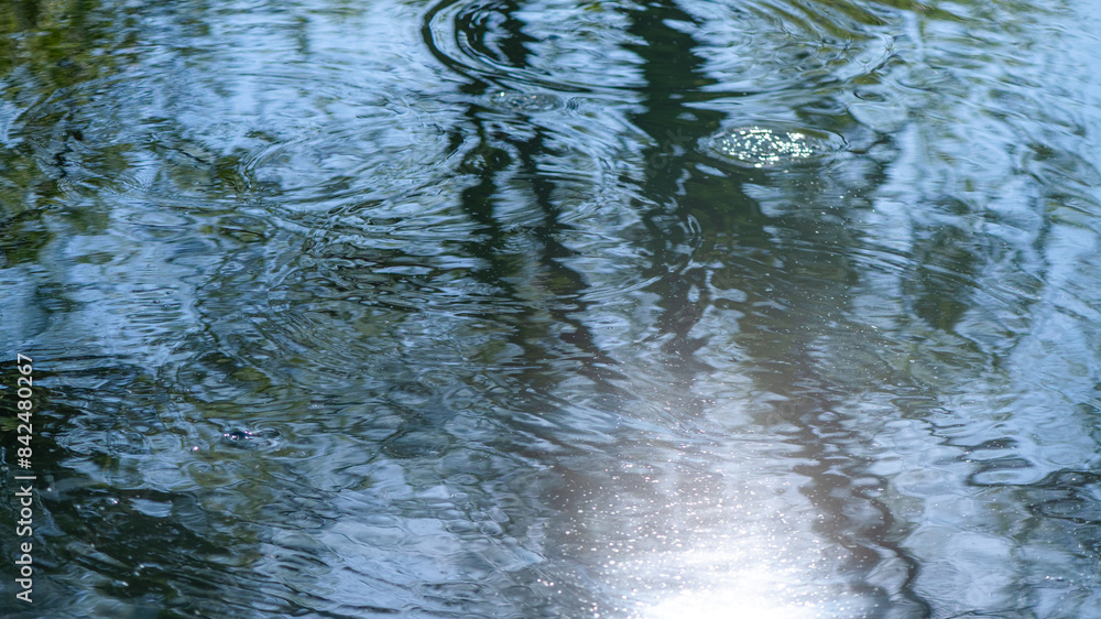 Fototapeta premium Circles on the water in the river from the movement of fish, fishing