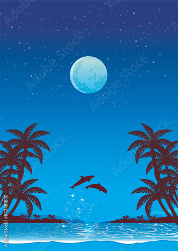 南国のビーチの夜
