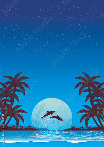 南国のビーチの夜
