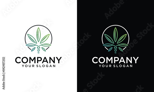 Creative Graphic logo design with medical marijuana, on a colored background in the center of the circle. Label with green organic leaf of cbd and thc grass. Vector emblem cannabis sativa and indica