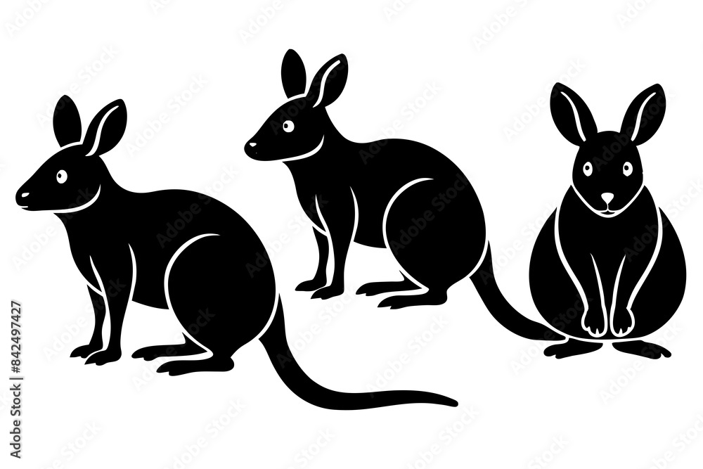 bilby silhouette vector illustration bilby silhouette vector illustration