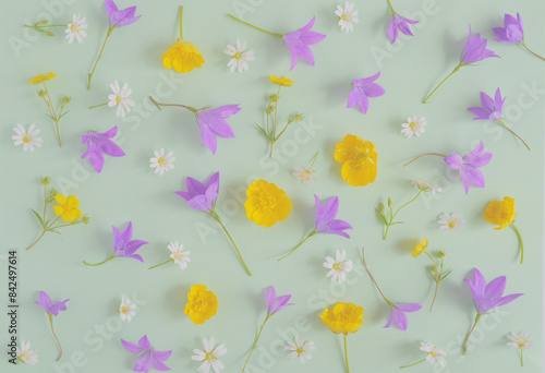 Beautiful floral background, flat lay spring flowers primroses, top view