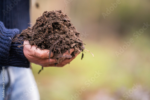 scientist researcher studying soil and forest health effects from climate change. university student research on bush soil structure and biology diversity. holding a soil sample in hand taking photos photo