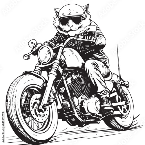 Stylish cat cruising on a modern motorcycle, embodying cool conf photo