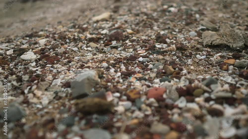 Close-up of a beach covered with colorful pebbles, shells, and rocks Close-up of a beach covered with colorful pebbles, shells, and rocks