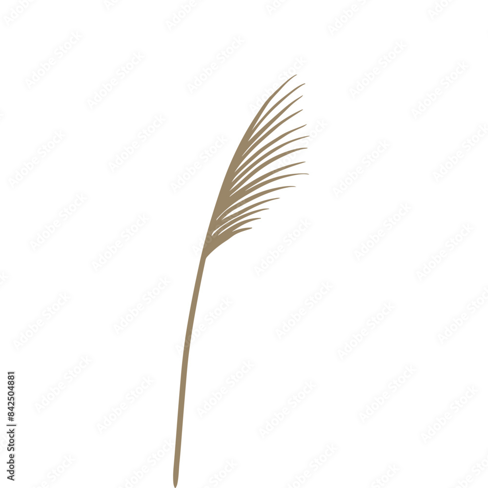 Reed traditional retro botanical illustration Reed traditional retro botanical illustration
