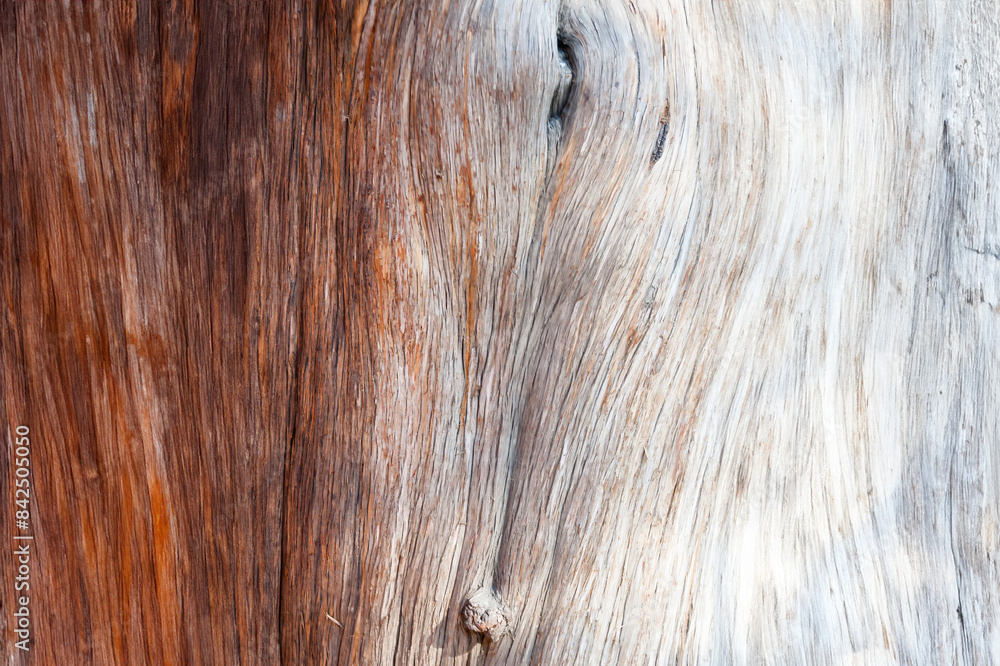 weathered tree with bark removed exposing the texture of the tree trunk and creating an instricate background weathered tree with bark removed exposing the texture of the tree trunk and creating an instricate background