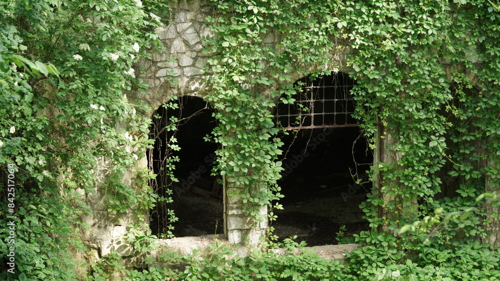 Two Cave Entrances Overgrown with Ivy and Old Grates Two cave entrances are shown overgrown with lush climbing plants, possibly ivy, adding a touch of nature's reclaim to the scene. Old grates partial Two Cave Entrances Overgrown with Ivy and Old Grates Two cave entrances are shown overgrown with lush climbing plants, possibly ivy, adding a touch of nature's reclaim to the scene. Old grates partial