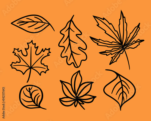 Vector isolated illustration of autumn leaves set.Contour drawing of leaves.