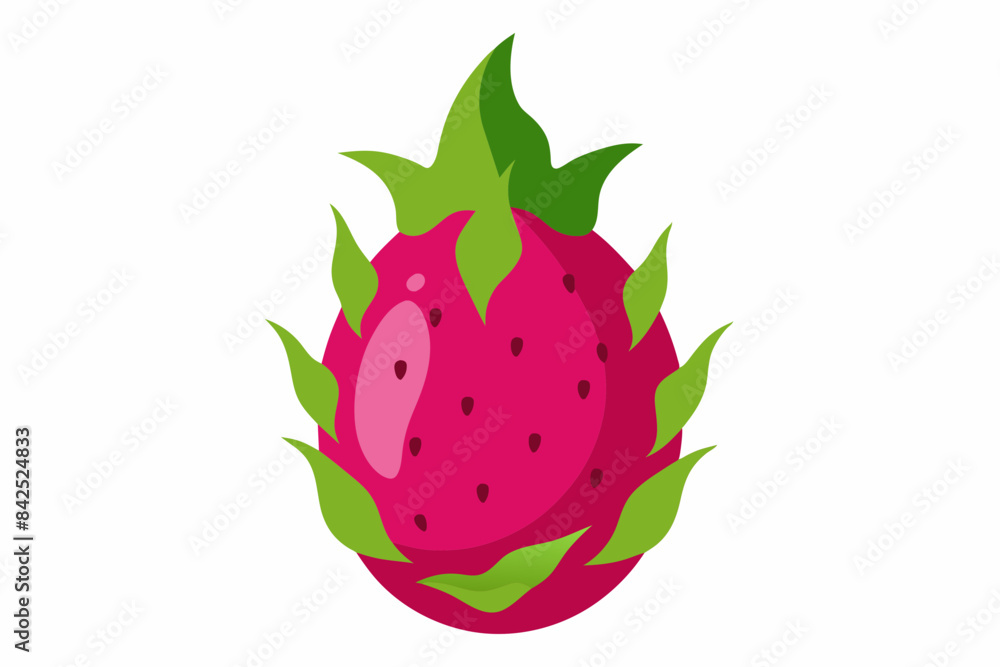dragon fruit vector illustration dragon fruit vector illustration
